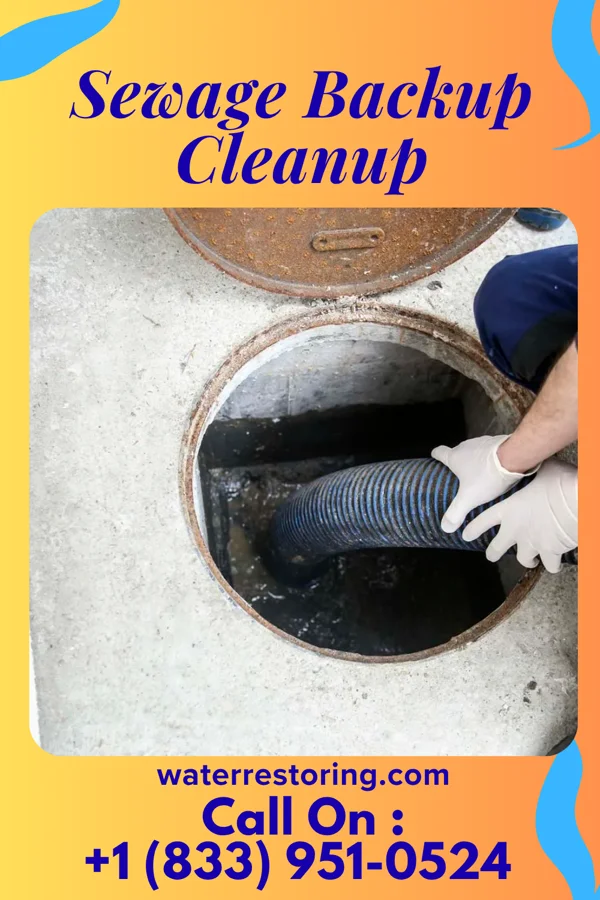 Sewage Backup Cleanup in Oakland, MD