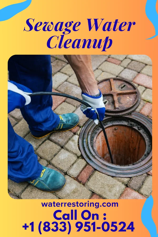 Sewage Water Cleanup in Oakland, MD