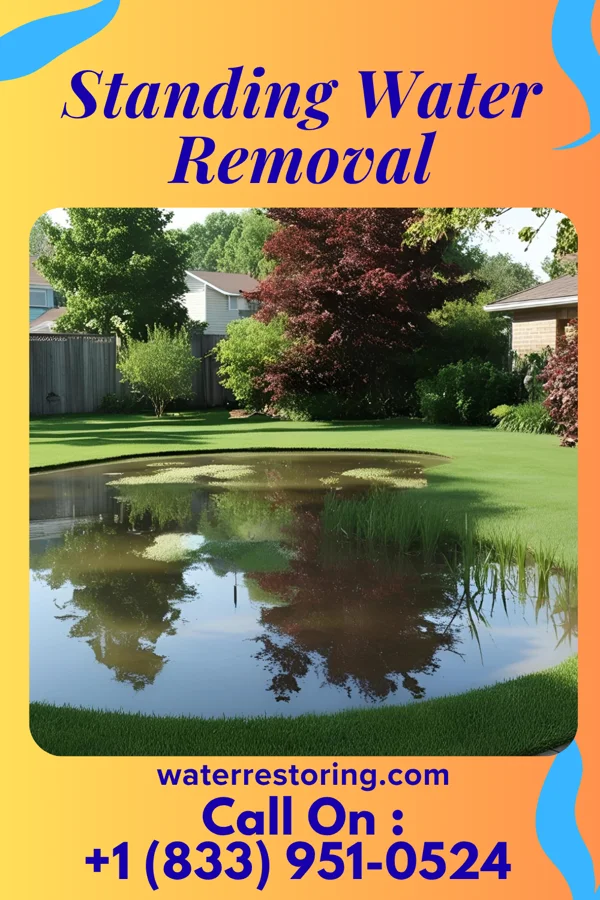 Standing Water Removal in Oakland, MD